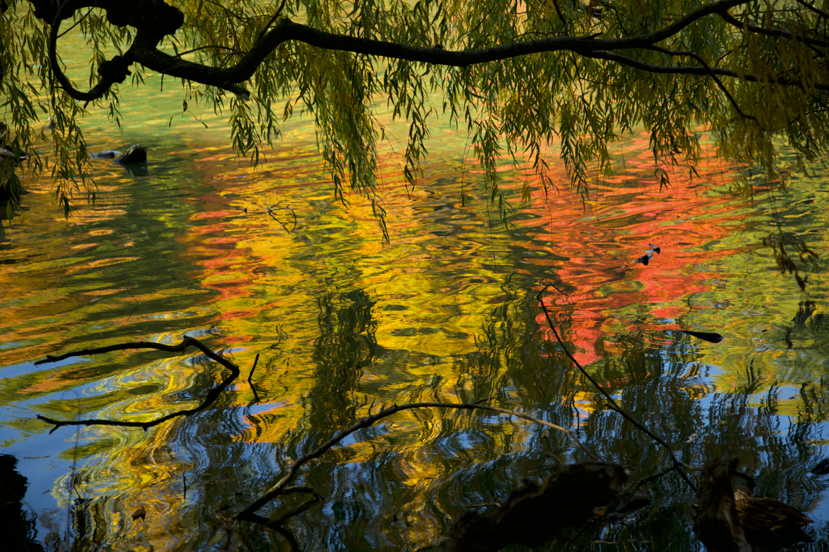 Hal Roth – Autumn Reflection